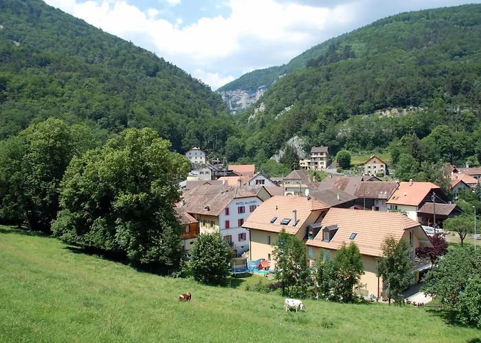 Photo de Hôtel de l'ours Vuiteboeuf