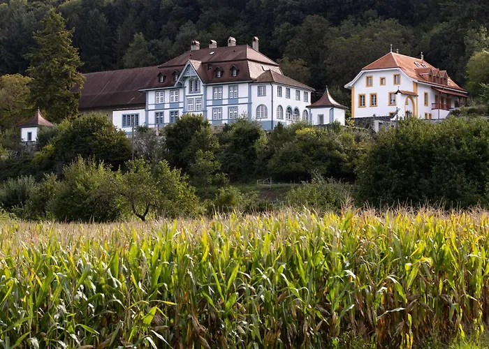 Chateau De Marnand - Duplex A La Ferme Granges-pres-Marnand foto