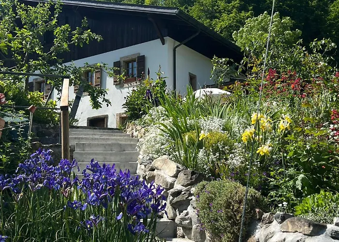 Bed and Breakfast Le Petit Ruisseau Ollon foto
